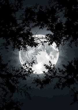 Full Moon Through Silhouetted Branches