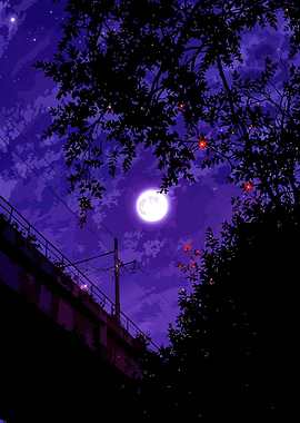 Night Sky with Moon and Trees