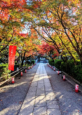 Autumn Path in Japan