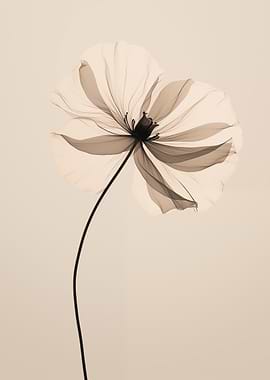 Elegant Sepia Flower