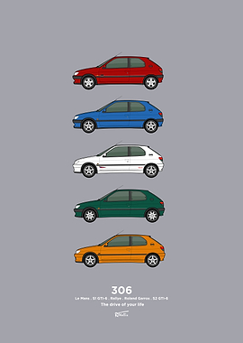 306 Special editions classic car collection