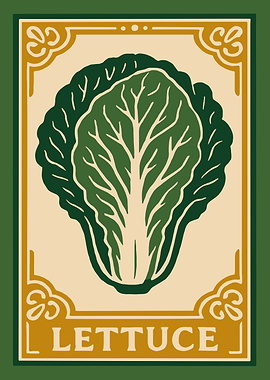 Lettuce Illustration with Decorative Border