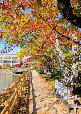 Autumn park scene with vibrant foliage