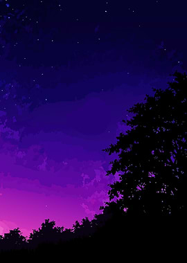 Night Sky with Trees Silhouette
