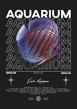 Discus Fish Aquarium Fish Keeper