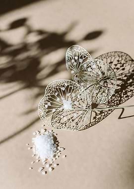 Lunaria plant with salt crystals