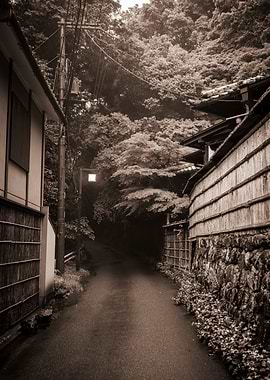 Mystic Path to the Forest – Sepia Tone