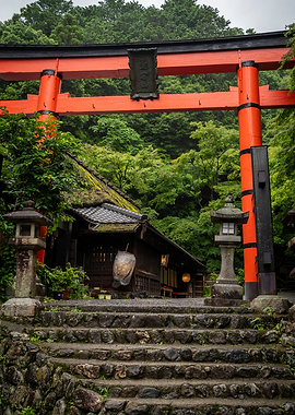 Forest Torii Gate of Kyoto – Ancient Shrine Path