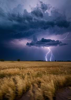 Lightning Storm Over Golden Field