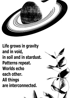 Interconnectedness: Space, Nature, and Text