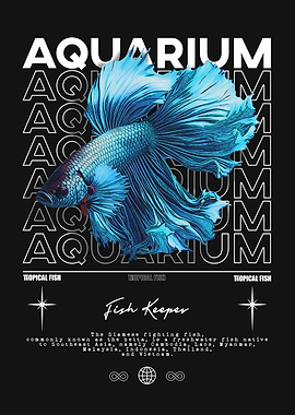 Betta Fish Aquarium Fish Keeper