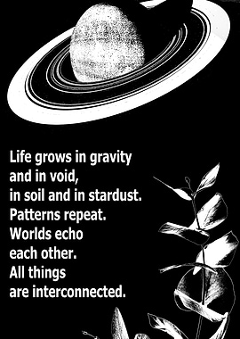 Interconnectedness: Space, Nature, and Text