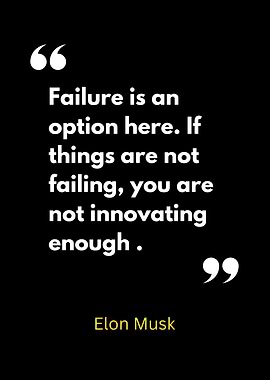 Elon Musk Quote: Failure and Innovation