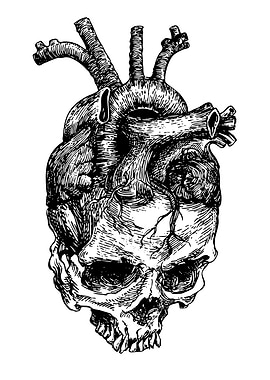 Heart and Skull Illustration