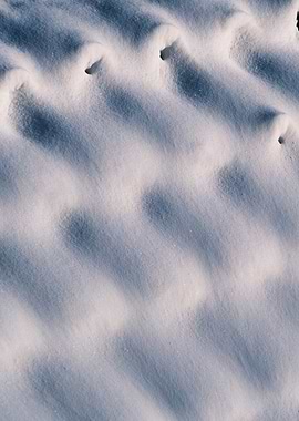 Snowy Surface with Ripples and Holes