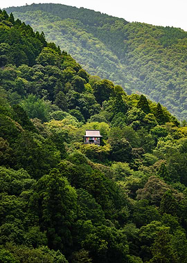 Within The Hills of Japan