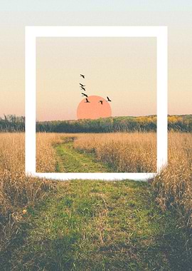 Birds Flying Over Field at Sunset