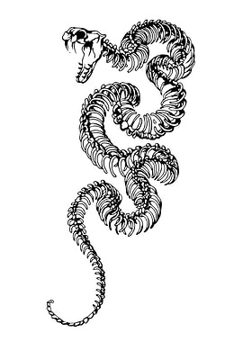 Snake Skeleton Illustration