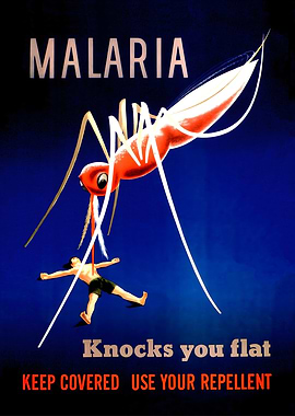 Malaria Prevention Vintage Poster
