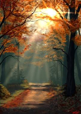 Autumn Forest Path