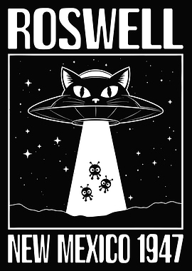 Roswell New Mexico Cat UFO Abduction