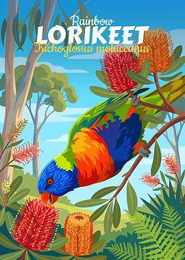 Rainbow Lorikeet Illustration