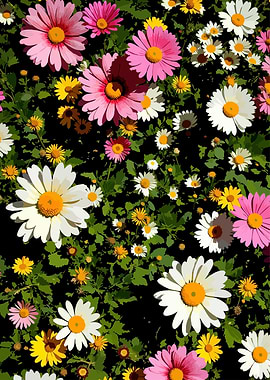 Floral Abundance: Daisies and Greenery