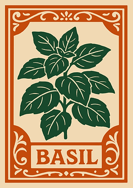 Basil Herb Illustration