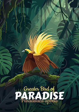 Greater Bird of Paradise Illustration