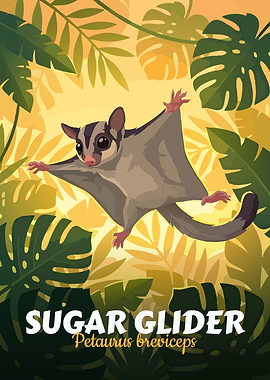 Sugar Glider Illustration
