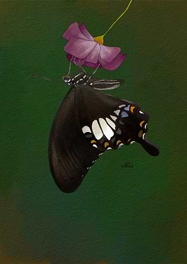 Butterfly on Flower Watercolor Painting