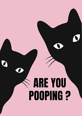 Two Cats: Are You Pooping?