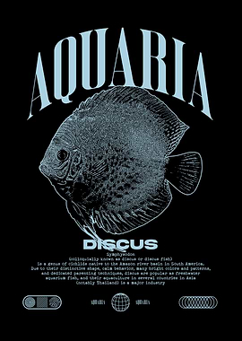 Discus Fish Aquarium Enthusiast