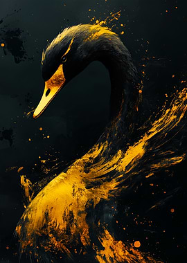 Black Swan with Golden Accents