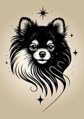 Pomeranian Dog Portrait with Stars
