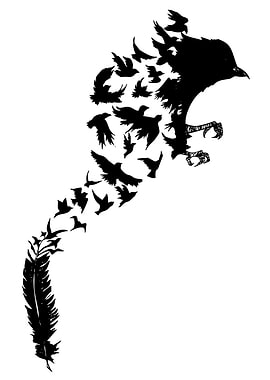 Bird Transformation Feather Black and White