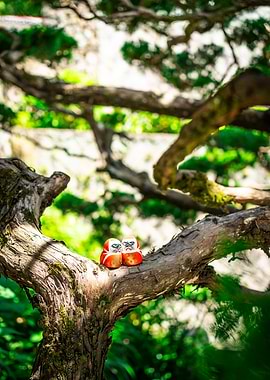 Daruma Spirits in the Forest