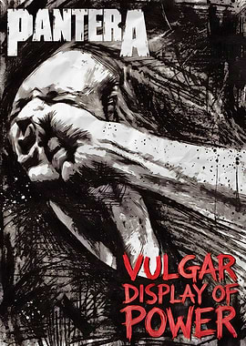 Pantera Vulgar Display of Power Album