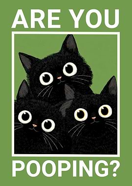 Are You Pooping? Black Cats Funny Bathroom Poster