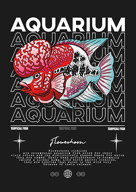 Aquarium Flowerhorn Tropical Fish