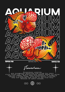 Aquarium Flowerhorn Tropical Fish