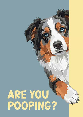 Are You Pooping? Australian Shepherd