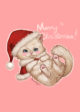 Christmas Cat with Santa Hat