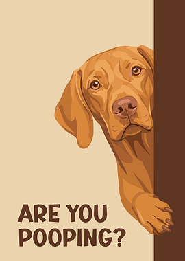 Are You Pooping? Vizsla