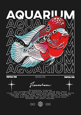 Flowerhorn Cichlid Aquarium