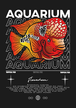 Flowerhorn Cichlid Aquarium