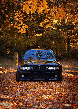 BMW in Autumn Leaves