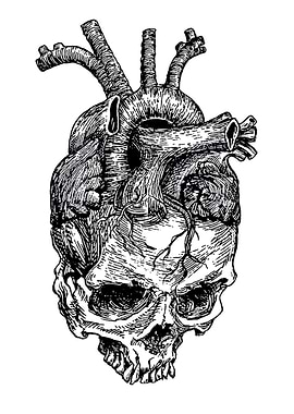 Heart and Skull Illustration