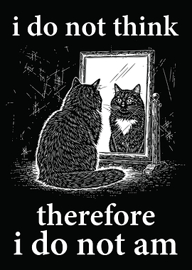 Cat Mirror Existentialism