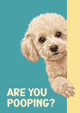 Are You Pooping? Miniature Poodle